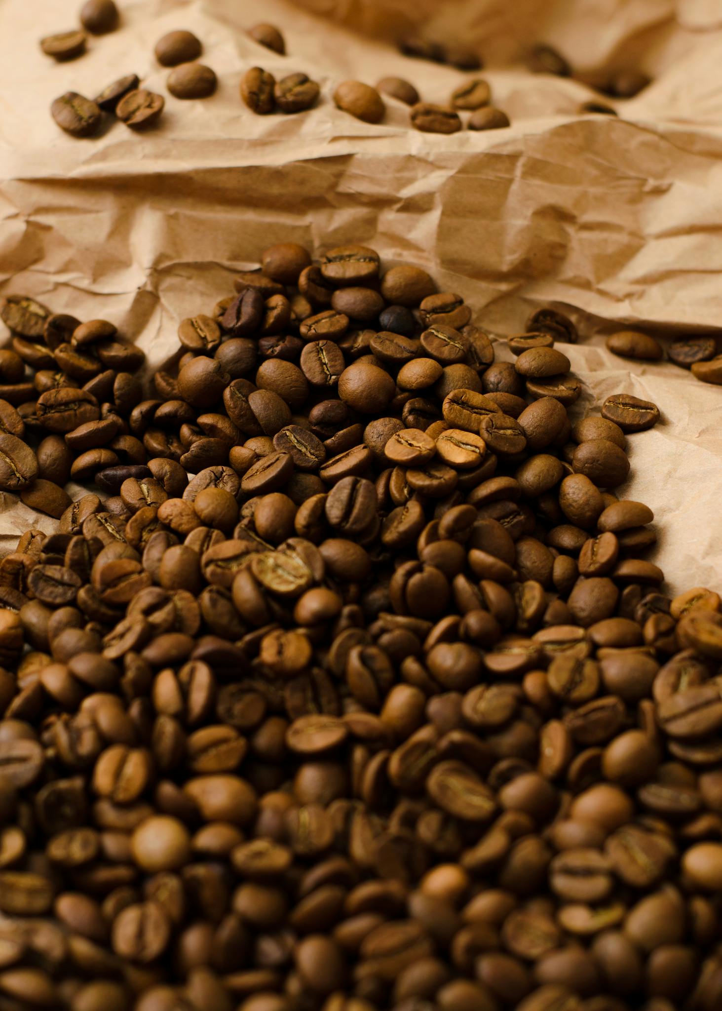 Roasted coffee beans